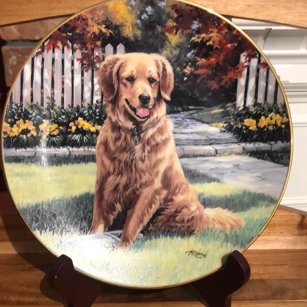 2for$20🟠Decorative Plate with Golden Retriever Design